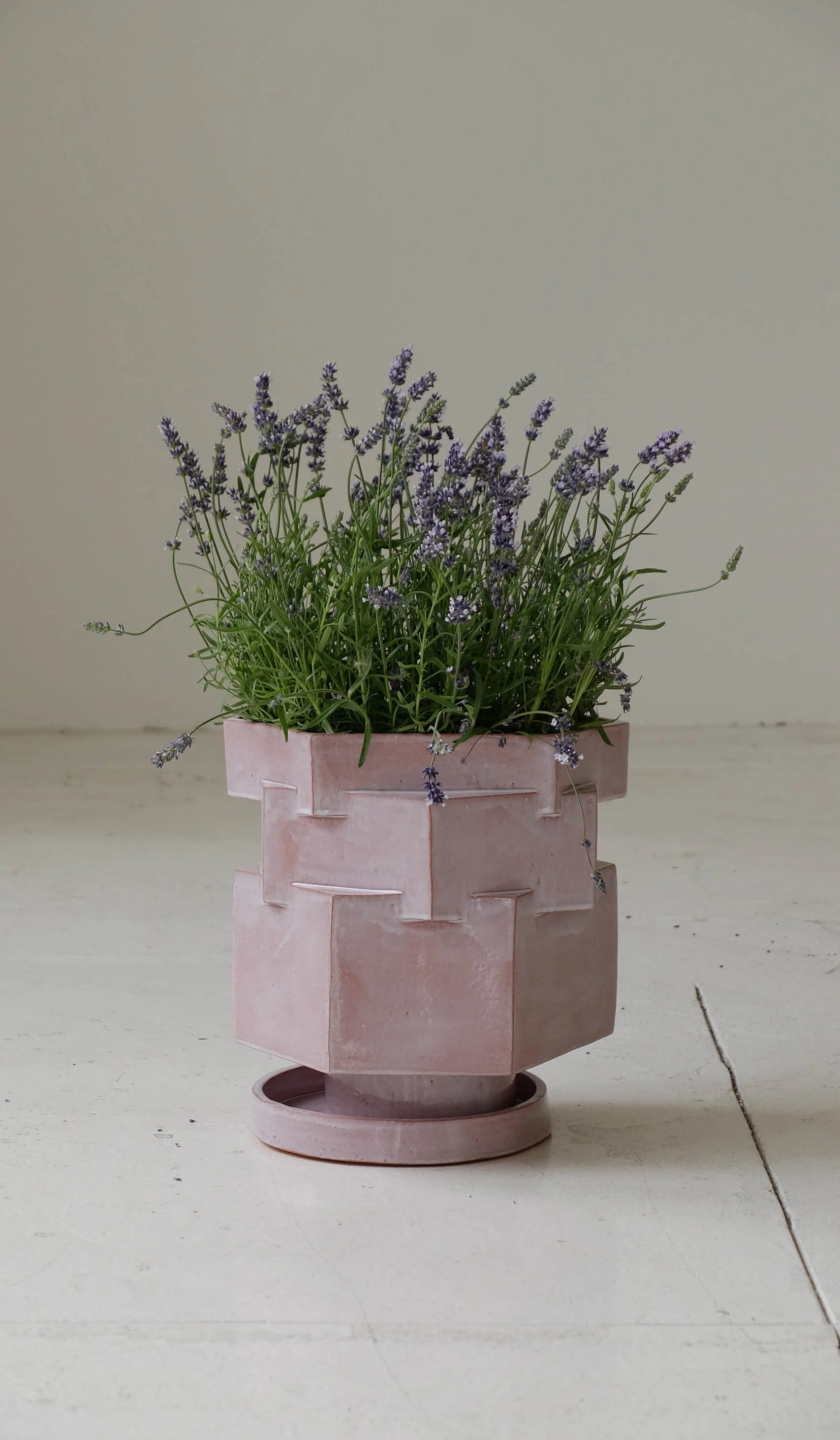 B Zippy XL Hex Planter - Image 10