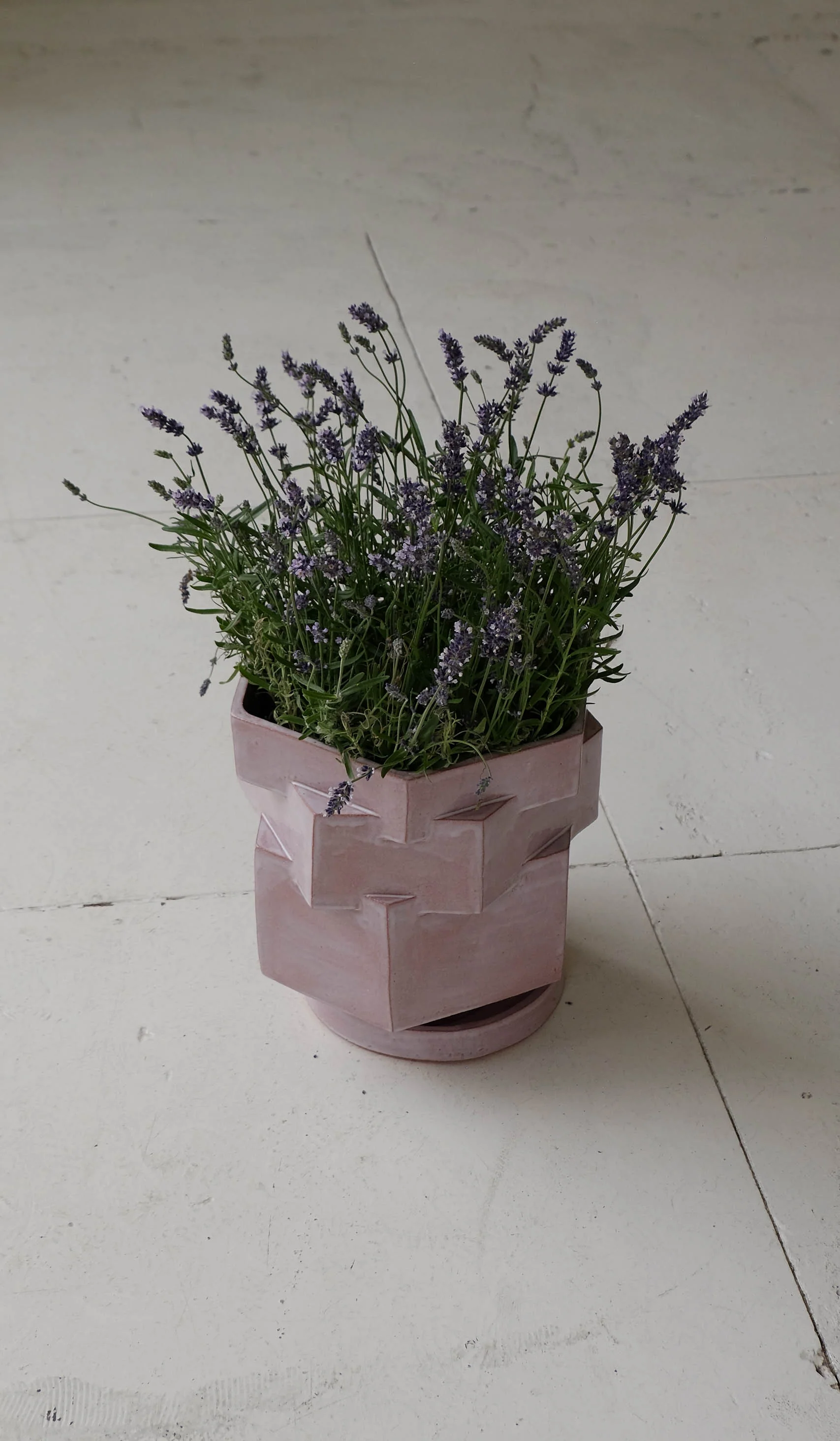 B Zippy XL Hex Planter - Image 15