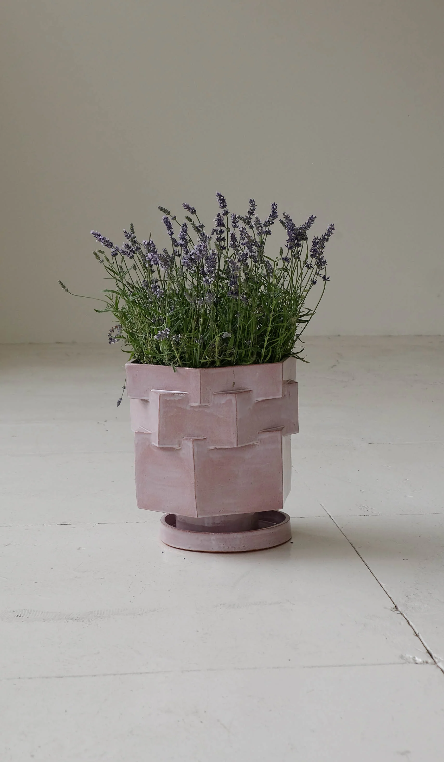 B Zippy XL Hex Planter - Image 18