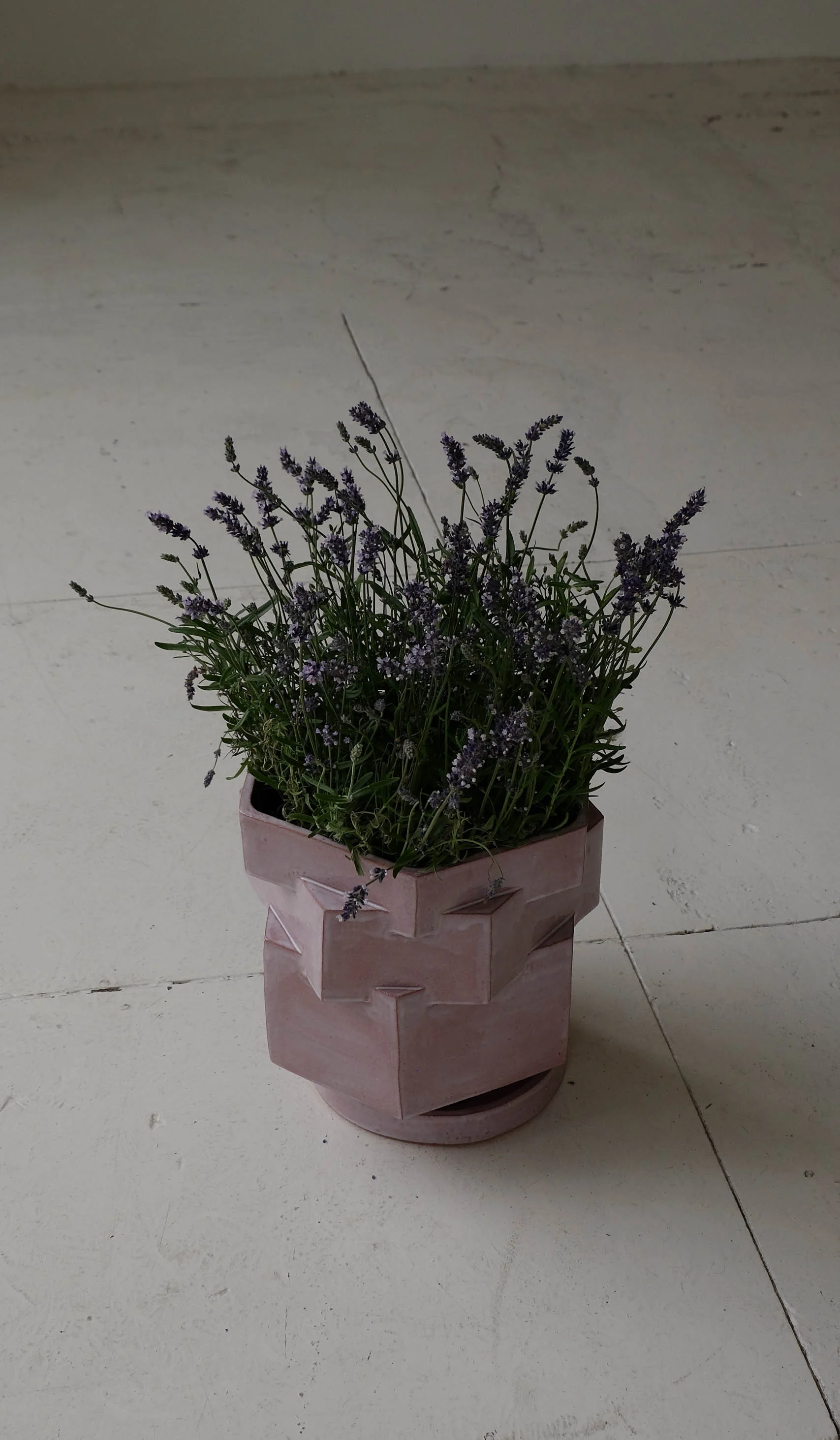 B Zippy XL Hex Planter - Image 21