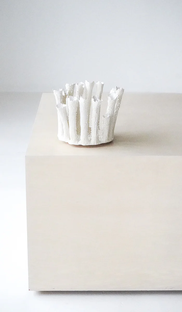 Nathalee Paolinelli Coral Crown Bowl No. 4