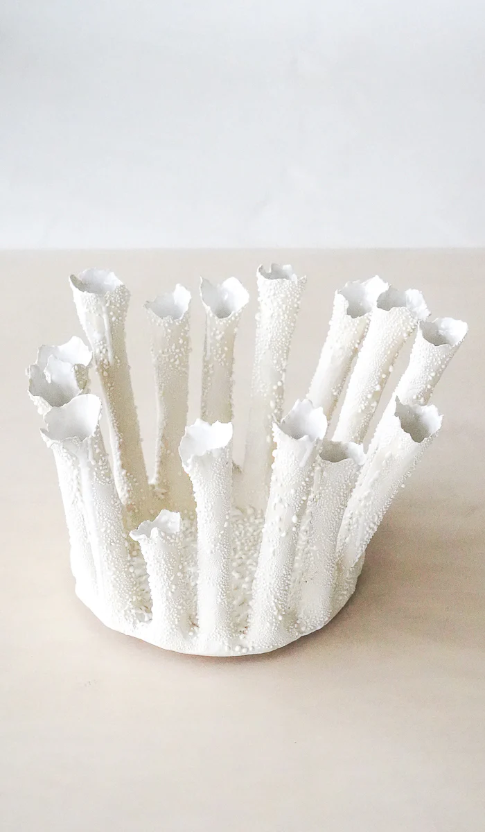 Nathalee Paolinelli Coral Crown Bowl No. 4 - Image 3