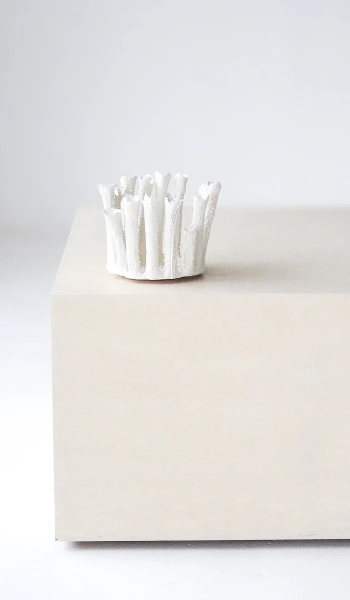Nathalee Paolinelli Coral Crown Bowl No. 4 - Image 6