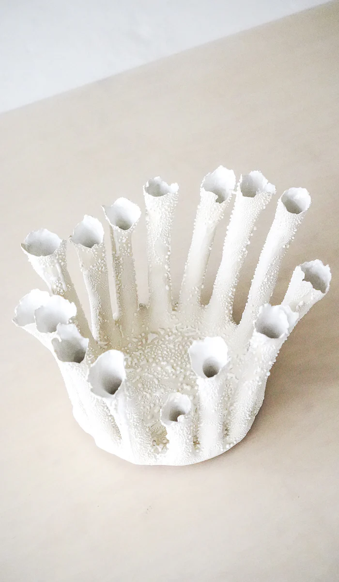 Nathalee Paolinelli Coral Crown Bowl No. 4 - Image 8
