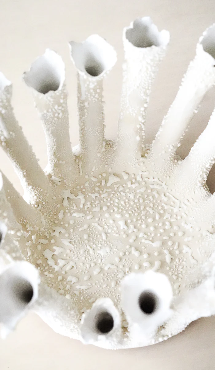 Nathalee Paolinelli Coral Crown Bowl No. 4 - Image 9