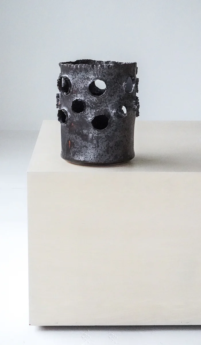 Nathalee Paolinelli Giant Roosting Vessel No. 8 - Image 14