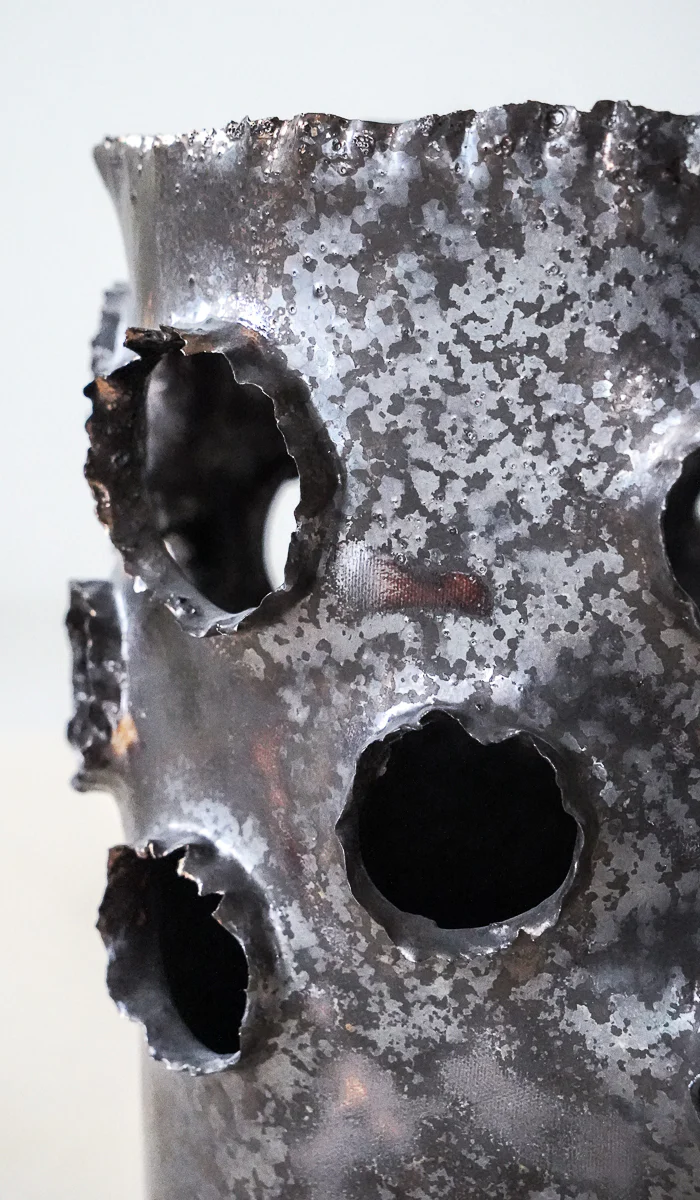 Nathalee Paolinelli Giant Roosting Vessel No. 8 - Image 8