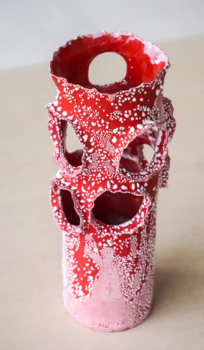 Nathalee Paolinelli Red Roosting Vessel No. 2 - Image 3