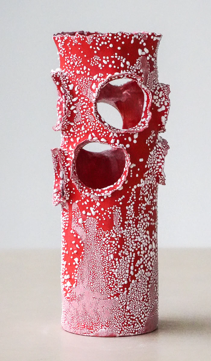 Nathalee Paolinelli Red Roosting Vessel No. 2 - Image 5