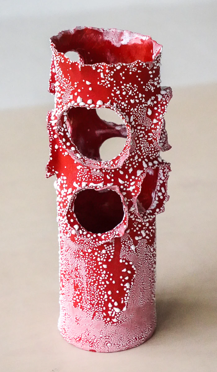 Nathalee Paolinelli Red Roosting Vessel No. 2 - Image 6