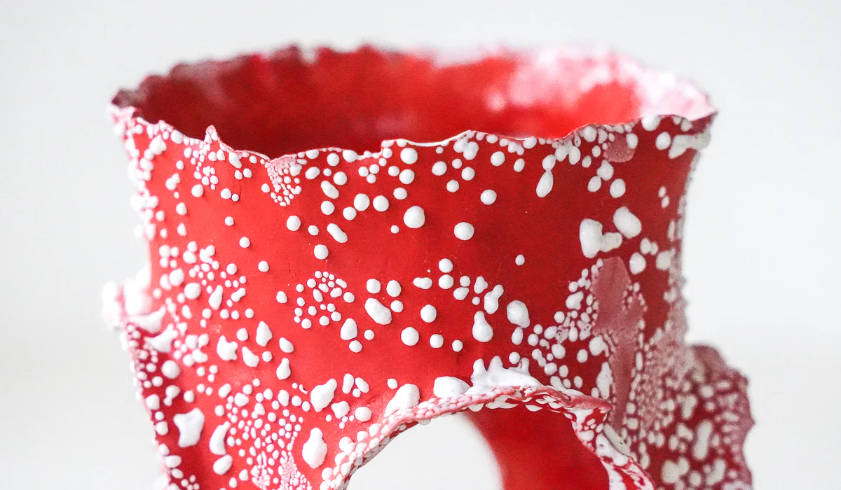 Nathalee Paolinelli Red Roosting Vessel No. 2 - Image 7