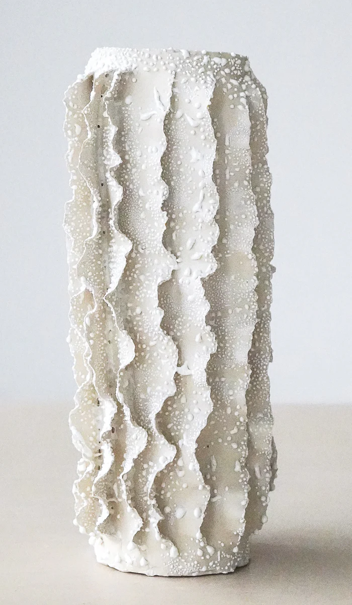 Nathalee Paolinelli White Lichen Ripple Vase No. 6 - Image 12
