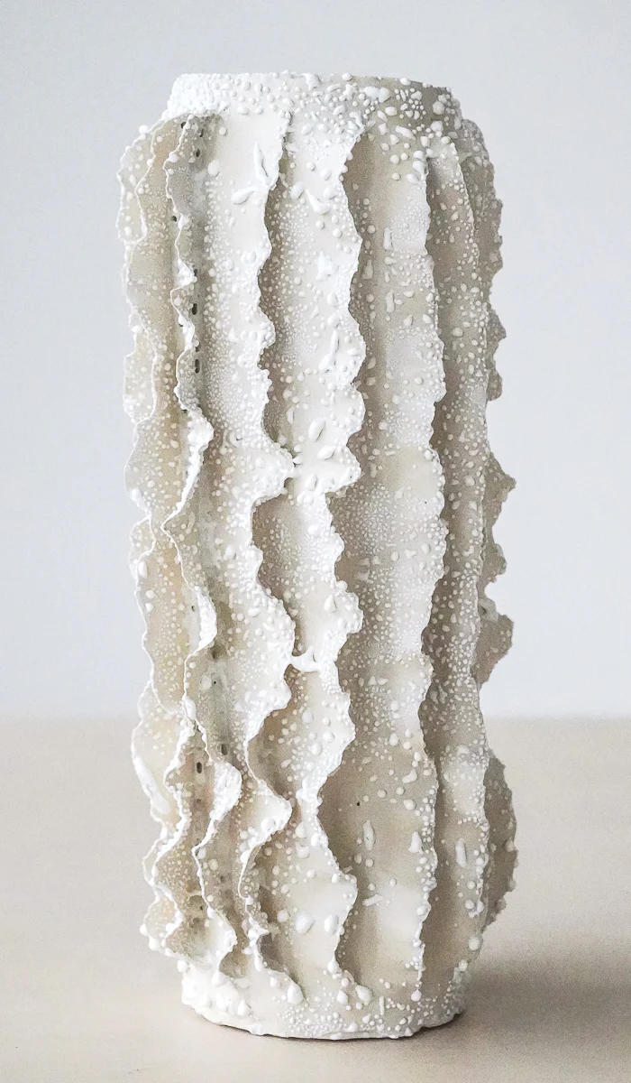 Nathalee Paolinelli White Lichen Ripple Vase No. 6 - Image 8