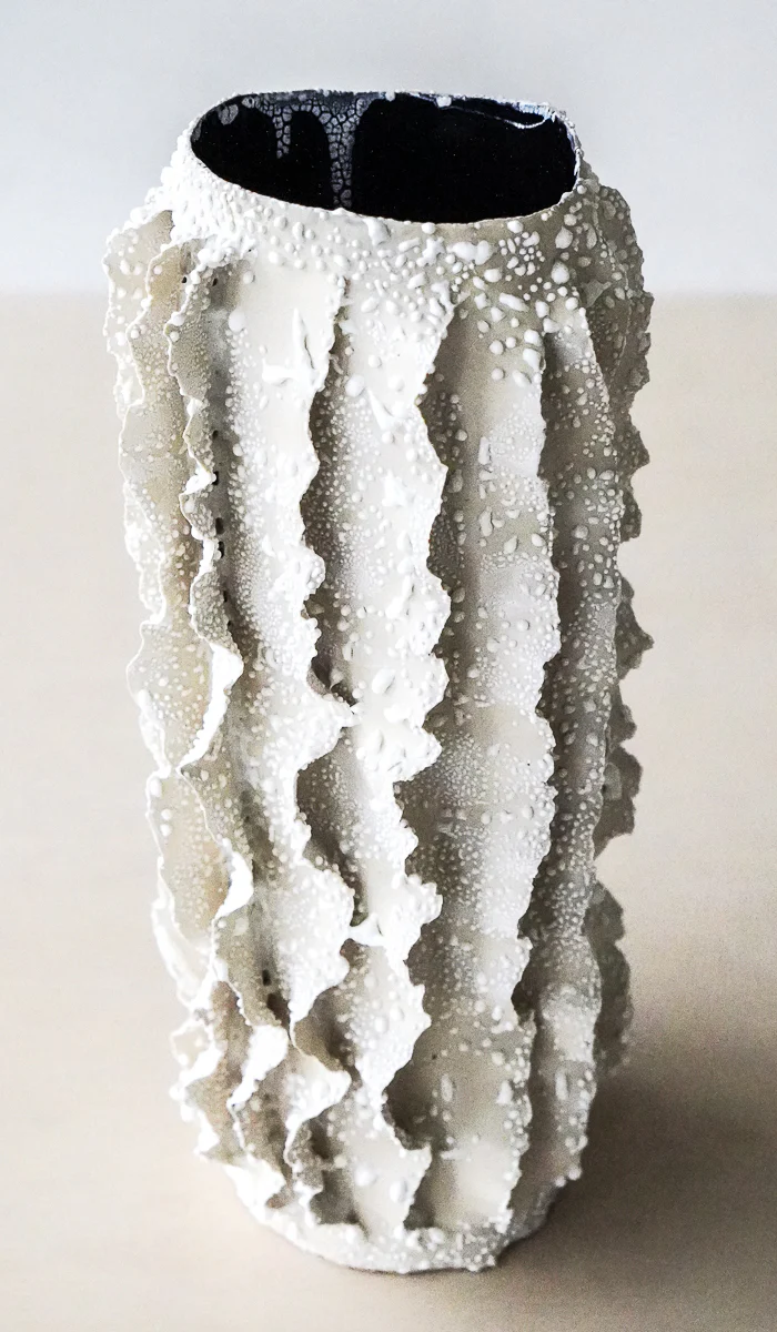 Nathalee Paolinelli White Lichen Ripple Vase No. 6 - Image 9