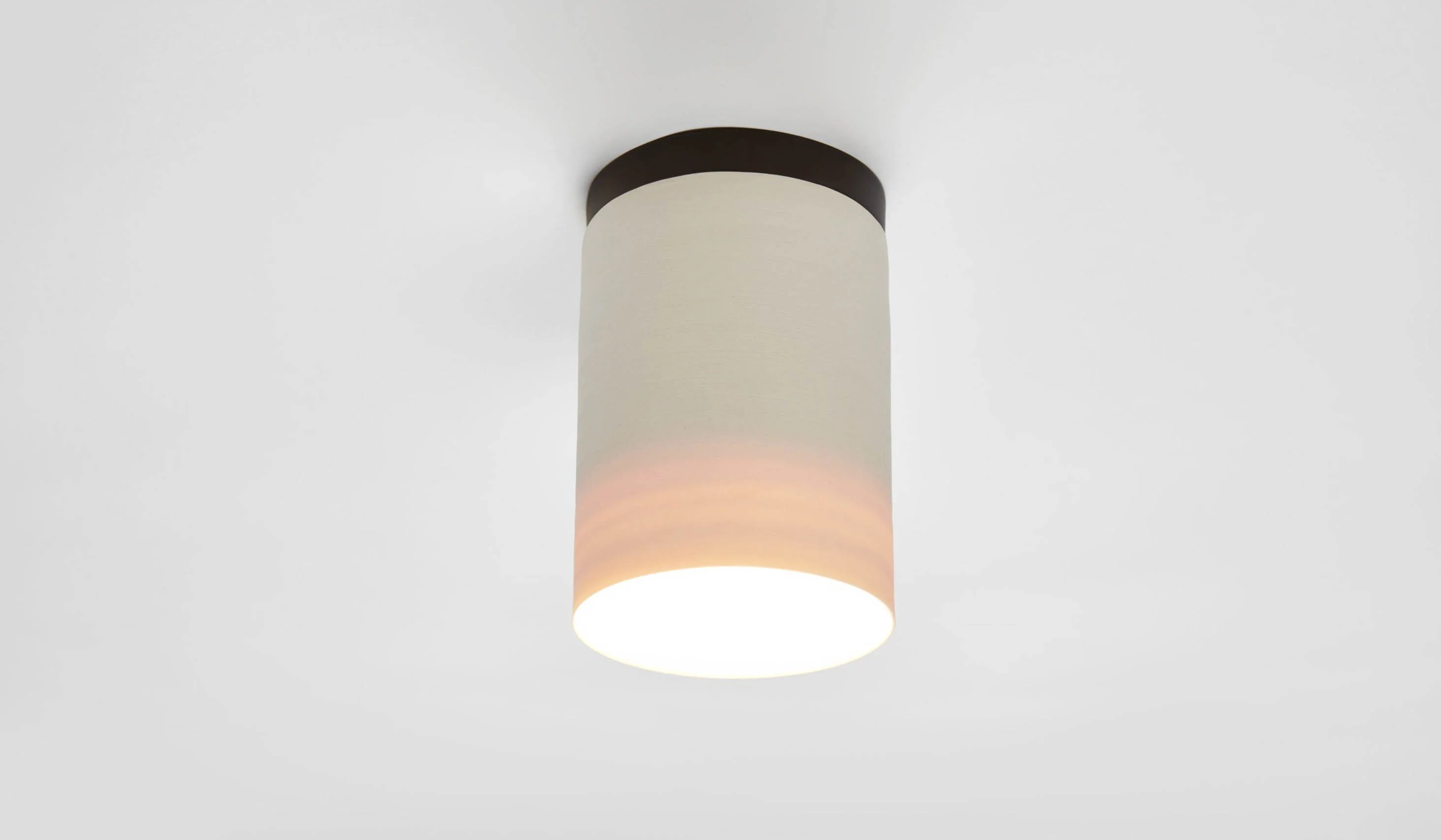 Roll & Hill Surface Ceiling Mount - Image 12