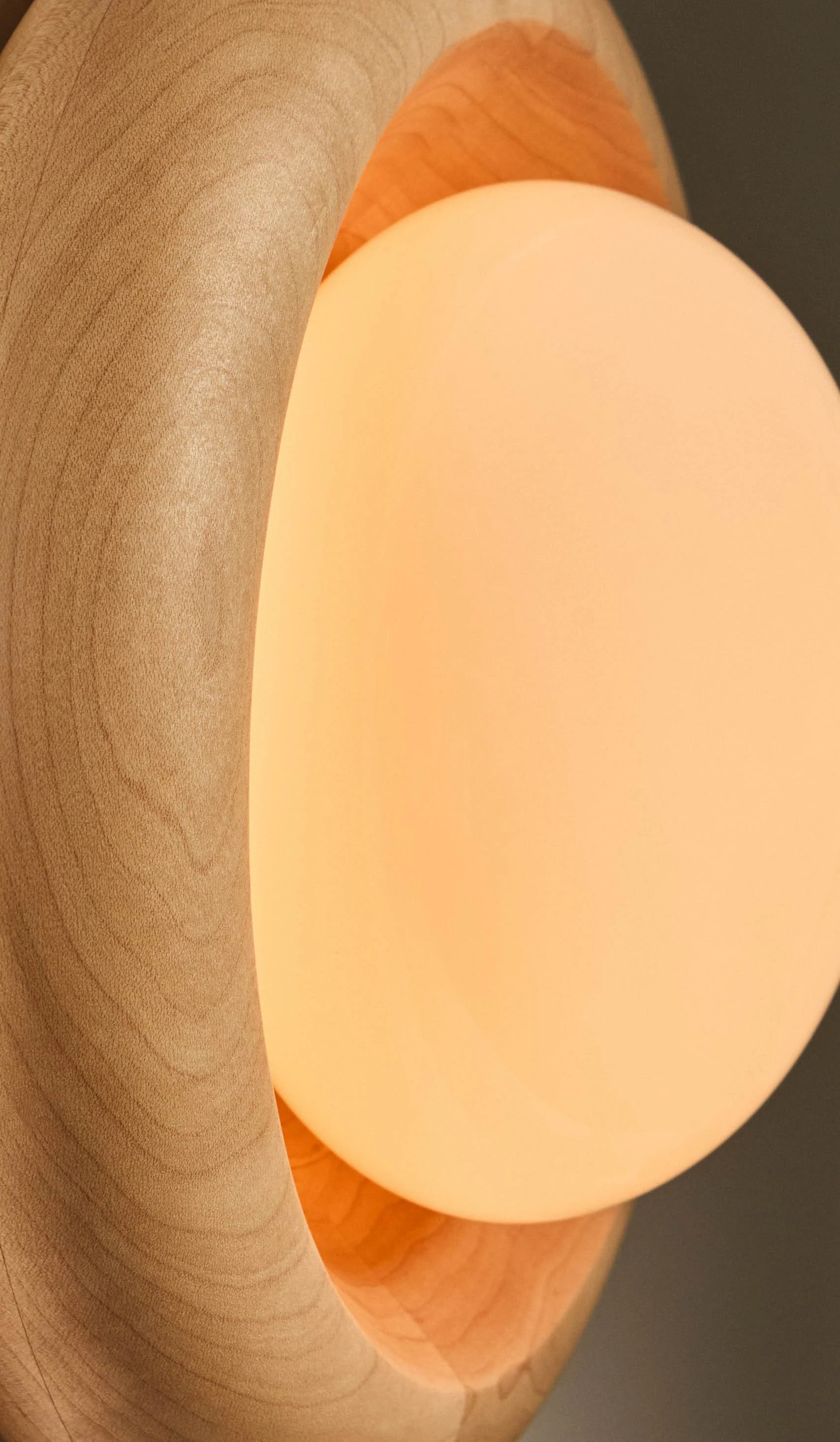 Roll & Hill Wood Humboldt 01 Sconce - Image 17